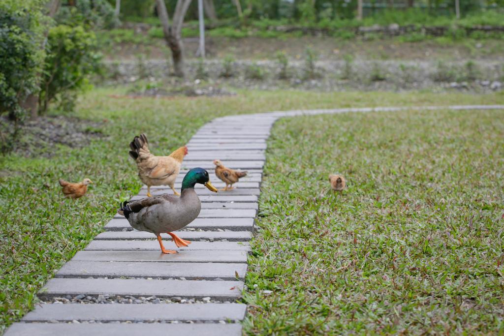 Just Like Villa Ji'an Buitenkant foto